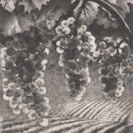 EX LIBRIS LUDĚK KŘÍŽ