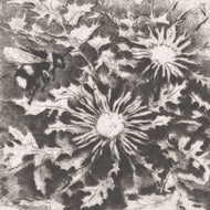 EX LIBRIS ALŽBĚTA SIROTKOVÁ