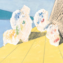 COQUILLAGE JAUNE