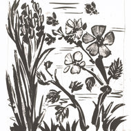 L'AVEILLE (L'ABEILLE)