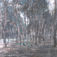 BERKENBOSJE