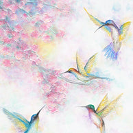 HUMMINGBIRDS