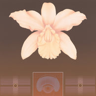 ORCHID MATRIX