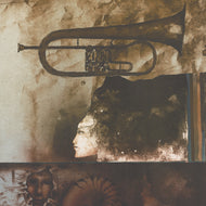 BLUES PRO KŘÍDLOVKU