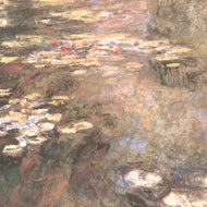 THE WATER LILY