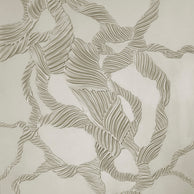 ORGANIC CONNECTIONS