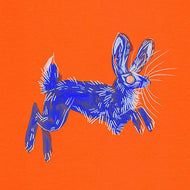 BLUE HARE II