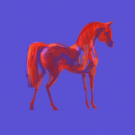 FLOATING HORSE