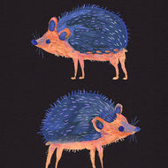 HEDGEHOGS