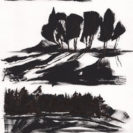 LANDSCAPES IV