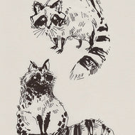 SKETCHY RACCOONS
