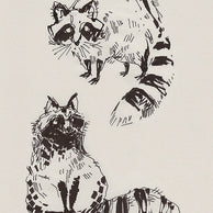 SKETCHY RACCOONS