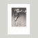 EX LIBRIS V. K.