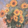 BOUQUET OF SUNFLOWERS