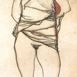 AKT S VYHRNUTÝMI ŠATY