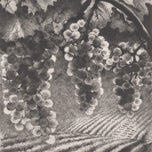 EX LIBRIS LUDĚK KŘÍŽ