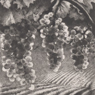 EX LIBRIS LUDĚK KŘÍŽ