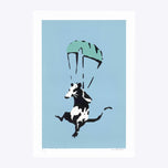 RAT USED FACE MASK AS A PARACHUTE