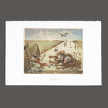 EX LIBRIS LI ZHONGKE