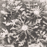 EX LIBRIS ALŽBĚTA SIROTKOVÁ