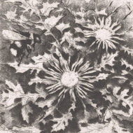 EX LIBRIS ALŽBĚTA SIROTKOVÁ