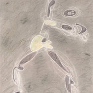 DANCERS UNDER THE STARRY SKY