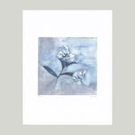 STALK WITH TWO JAPANESE LILIES