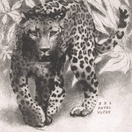 EX LIBRIS PAVEL VLČEK