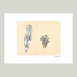 DOVES AND CORALS