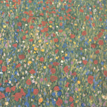 A FIELD OF POPPIES