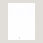 SELF-PORTRAIT AS A TEHUANA