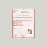 PORTRÉT JEANNE HEBUTERNE