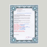 THE YOUNG LADIES OF GIVERNY, SUN EFFECT