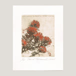 EX LIBRIS ALŽBETA SIROTKOVÁ