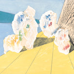 COQUILLAGE JAUNE