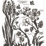 L'AVEILLE (L'ABEILLE)