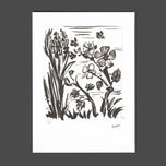 L'AVEILLE (L'ABEILLE)