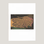 TIGERS