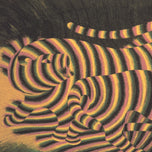 TIGERS