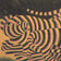 TIGERS