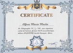 FOUR SEASONS WINTER