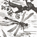 LIBELLULE