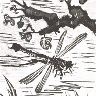 LIBELLULE