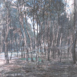 BERKENBOSJE