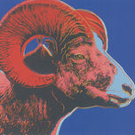 BIGHORN RAM