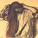 FEMME SE PEIGNANT