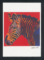 GREVY'S ZEBRA