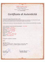 FIGURE IN FRONT OF THE SUN