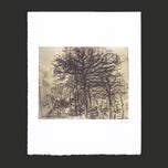 STUDY OF TREES