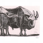 THE BULL